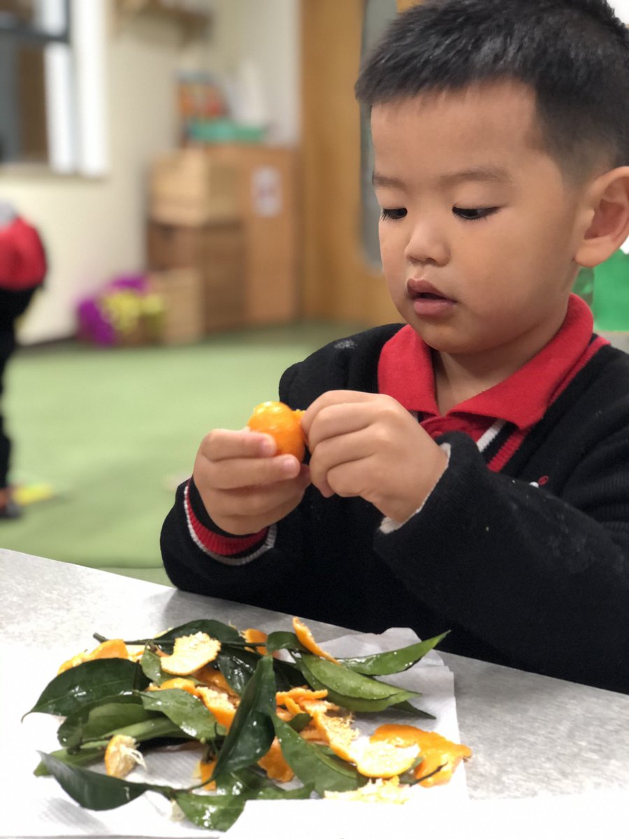 annlopez1981's tweet photo. Advocating healthy eating and teaching self-help skills in #NurseryA. #2yrsold #developingIndependentLearners #handsonlearning #smallMovement #finemotorskills #happytummy #SISRocks #youngestGeckos @Natalie_Magnus @MrMagnusELL https://t.co/WQ7R6nJ3YS