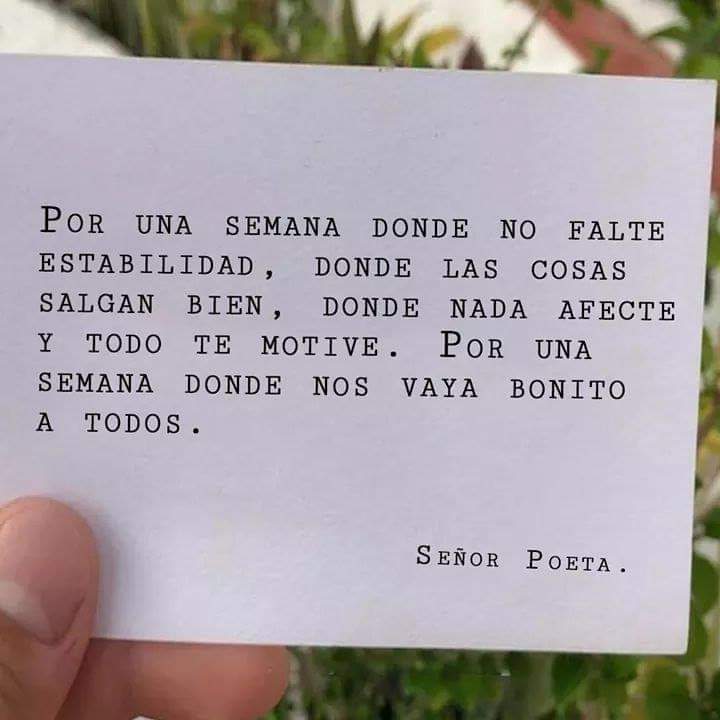 PerlaIsabelOrt3's tweet photo. Excelente semana 👌🏻💫 https://t.co/1trign0T2g