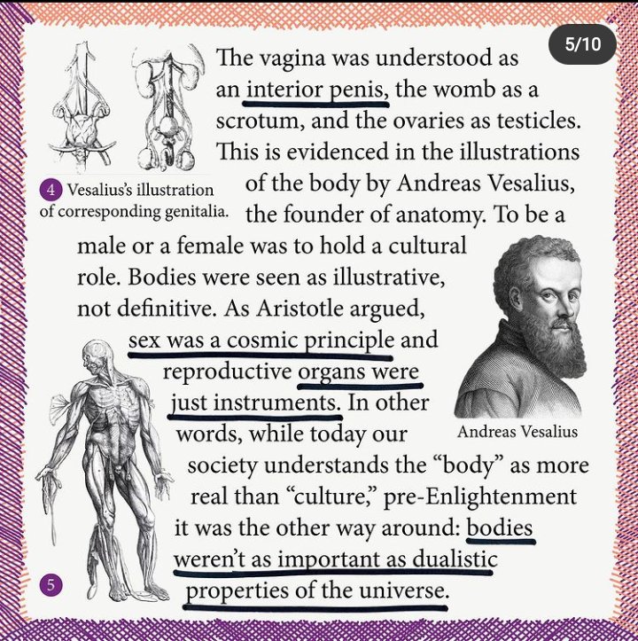 The vagina was understood as an interior penis, the womb as a scrotum, and the ovaries as testicles. This is evidenced in the illustrations of the body by Andreas Vesalius, the founder of anatomy. To be a male or female, was to hold a cultural role. (5/11)