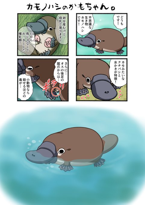 北郷 豊 きたざとゆたか 旧pn 松平鶴次郎侍さん の人気ツイート 1 Whotwi グラフィカルtwitter分析 北郷 豊 きたざとゆたか 旧pn 松平鶴次郎侍さん の人気ツイート 1 Whotwi グラフィカルtwitter分析