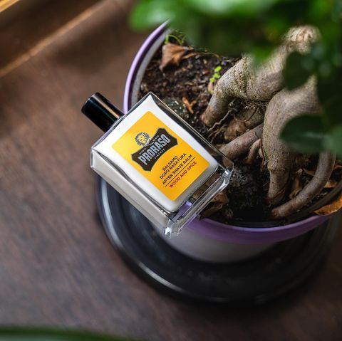ProrasoUSA's tweet photo. Monday mornings are so much better with Wood &amp; Spice After Shave Balm in them.
#Proraso #SingleBlade #Shave
.
.
.
@iambarber2020 https://t.co/uHLMnIW5gQ