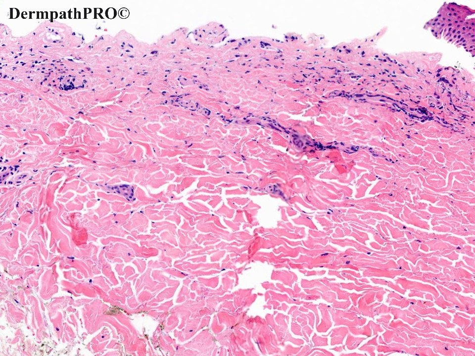 DermpathPRO tweet media