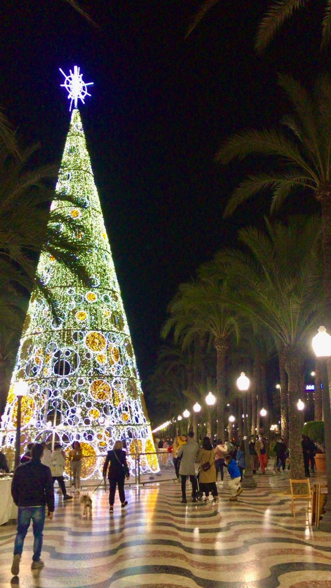 ¿Has visto el árbol de Navidad de Alicante? 

#Christmas #December #ChristmasTree #Alicante #Tourism