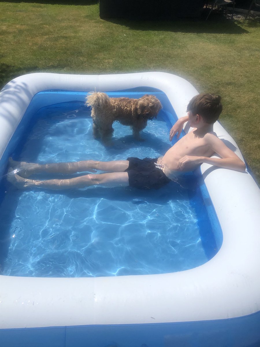 Guy Davies tweet media