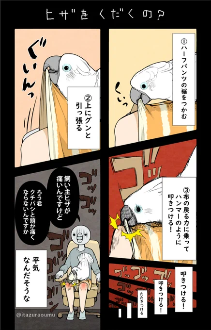 骨を狙って振り落します。
#オウムは今日も考えている #漫画が読めるハッシュタグ 