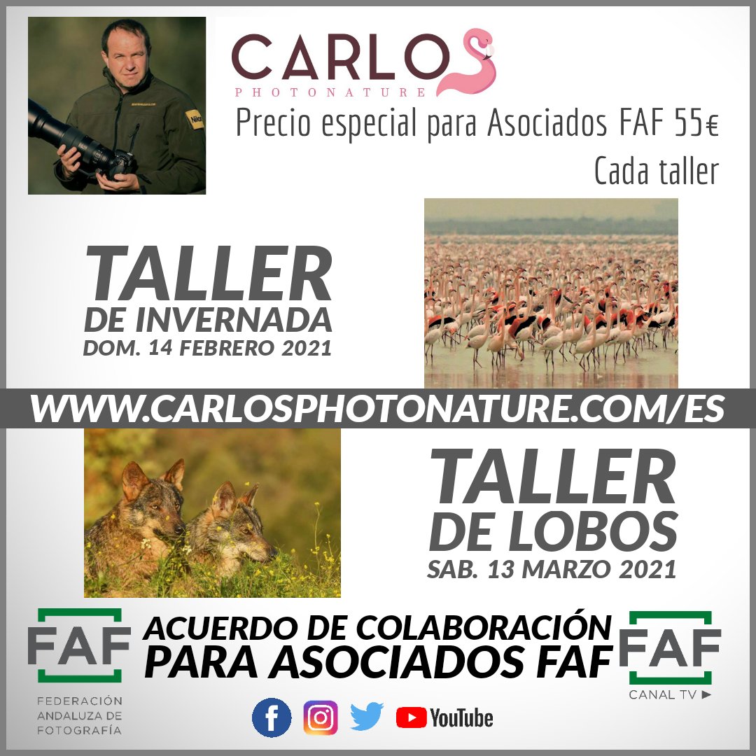 FAF_fotografia's tweet photo. Acuerdo de colaboración con descuentos pasa Asociados FAF!!
@carlosromeroco #fotografia #naturaleza #andalucia https://t.co/NsvxmbpRB6