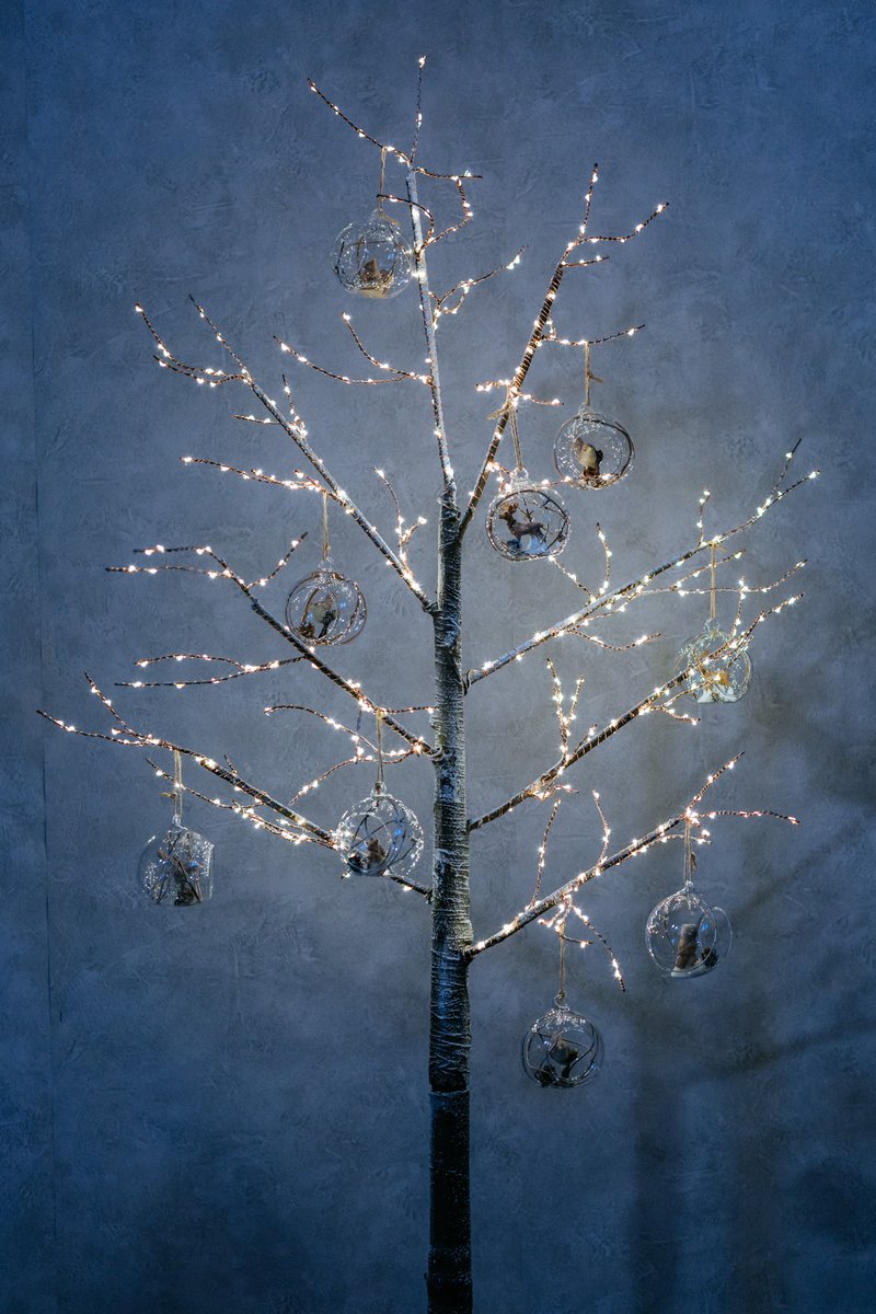 Christmas lights to guide you home 🌟

We have a range of Christmas lights available online &amp; in store!

thegardenhouse.ie/product-catego…
#Christmascollection #Christmaslights #Thegardenhouse #Christmas2020