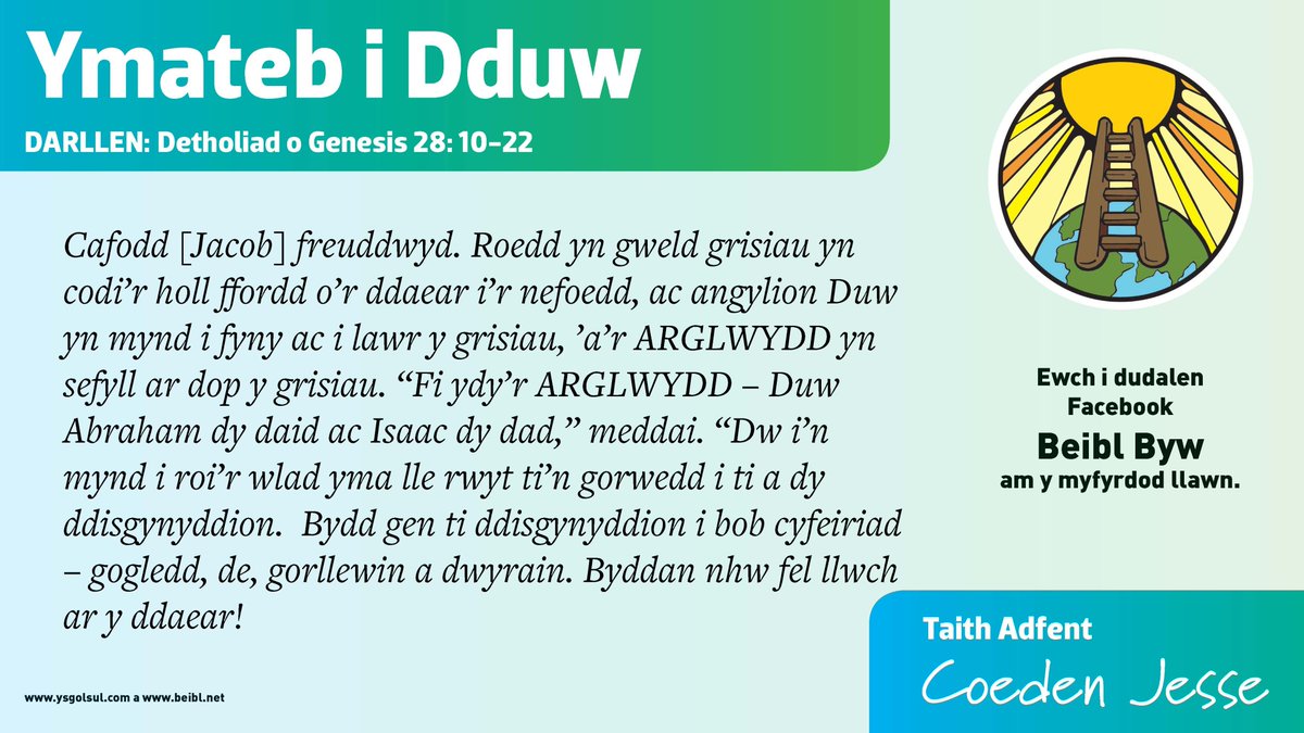 beibl_net tweet media