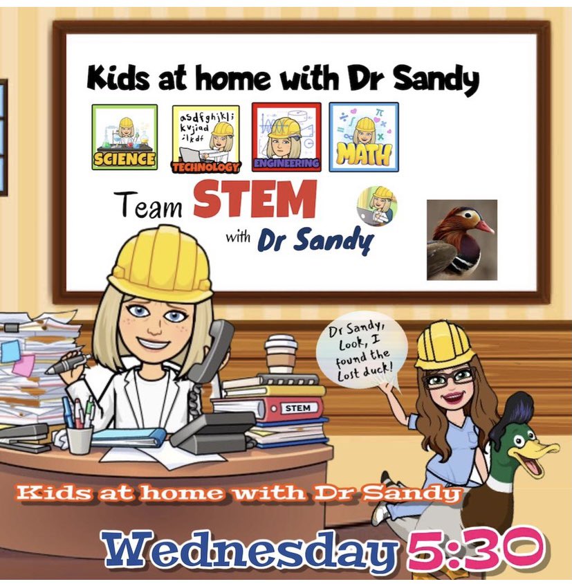 sandytrustteach's tweet image. #kidsathome  #teamSTEM have been asked by Prof Giuseppe Conte (PM-Italy) to solve a crisis! All departments  required! Urgent Toolbox meeting tomorrow at 5:30 pm ( AEST) #pstchat #newteachertribe #Homeschooling 
Plse bring Saos 😎 Puty &amp;amp; Trumpy loved them! Maybe Conte will too?