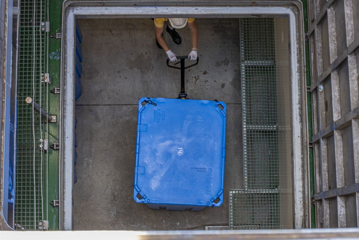 Rotogal_es's tweet photo. 🇬🇧 It's not just size, it's also capacity.
At #Rotogal we have developed this new custom made product for American Vessel. The challenge was to get more tons of catch loaded in each isothermal fish tub, increasing loading and processing capacity in the cargo hall. https://t.co/8Ua5nAFPpP