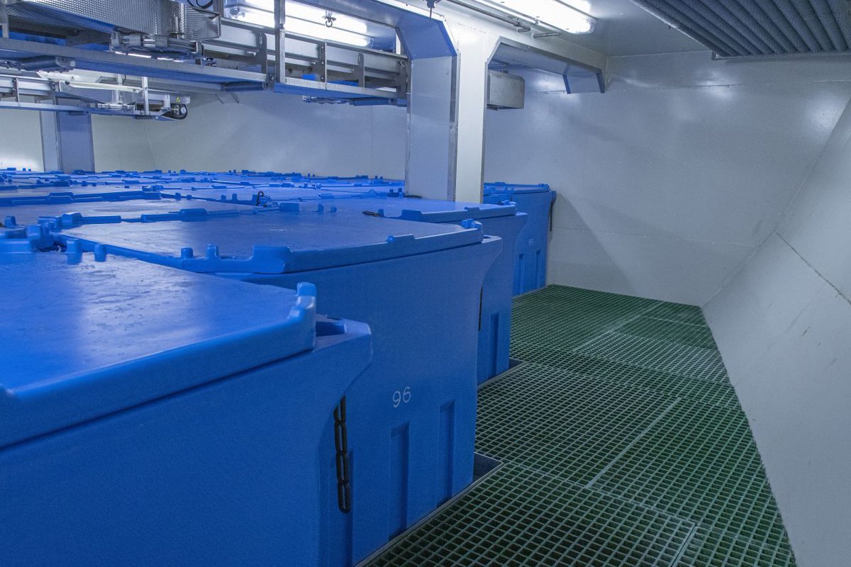 Rotogal_es's tweet photo. 🇬🇧 It's not just size, it's also capacity.
At #Rotogal we have developed this new custom made product for American Vessel. The challenge was to get more tons of catch loaded in each isothermal fish tub, increasing loading and processing capacity in the cargo hall. https://t.co/8Ua5nAFPpP