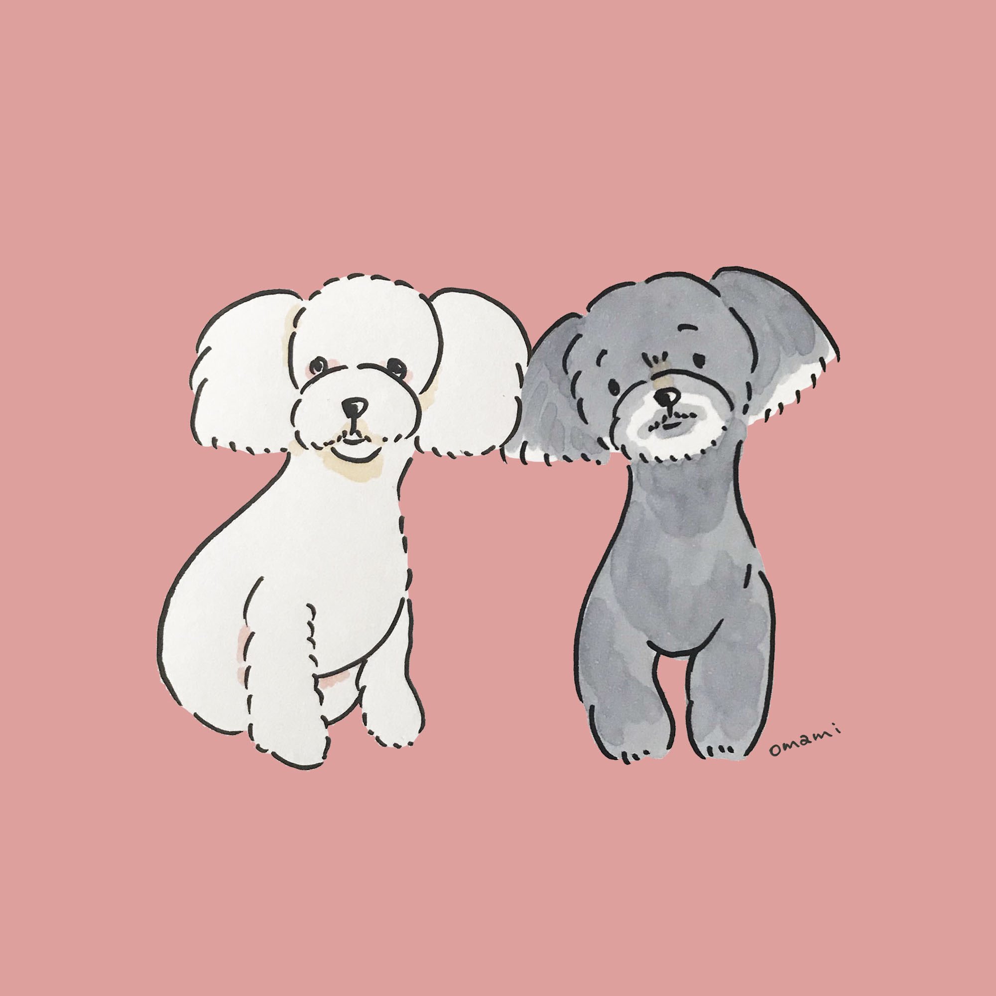 Omami 犬のイラストレーター Pa Twitter トリミングしたてのトイプードル え お人形ですか ふわふわのモフモフ トイプードル Toypoodle ふわもこ犬 イラストレーター イラスト好きな人と繋がりたい 犬好きな人と繋がりたい 犬のイラスト T