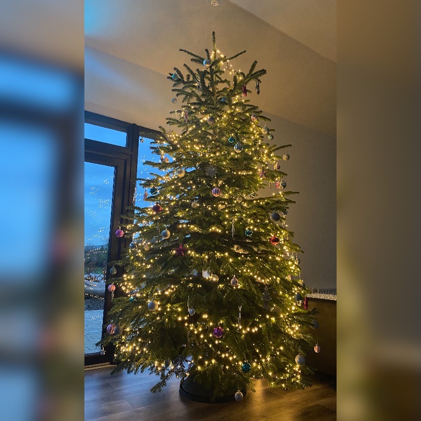 Open again this week for trees!😀 Plenty of different sizes to choose from, come on down to have a look - open today 12pm - 7pm🎄❄️