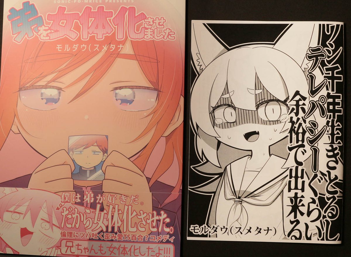 モルダウ様(@mol6251)
弟を女体化させました/ワシ千年生きとるしテレパシーぐらい余裕でできる
読んでるときずっとニヤニヤしてました。
この2作品を読んだだけでわかるモルダウ様流といいますか、僕がまねしてもこんなに勢いでないなぁと漫画表現の奥深さをしみじみ感じました。
あと絵が超かわいい