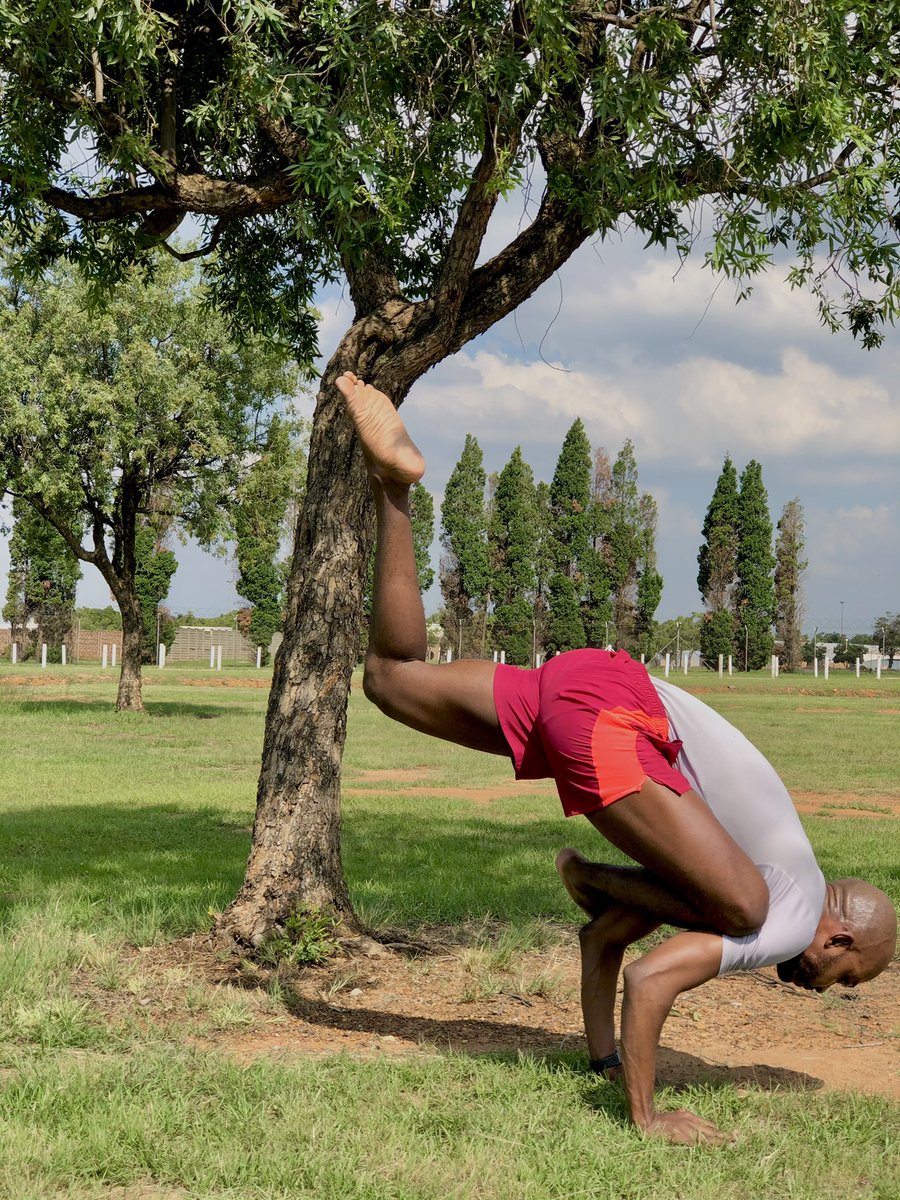 Yogajhb's tweet photo. “Throwing dirt on a seed only increases its value”

#ekapadagalavasana #flyingpigeonpose #flyingpigeon #yoga https://t.co/wztyCMDZDH