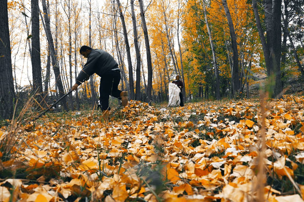 Burası dünya " Ya Huu " .
Burası bu kadar.
Kime çiçekler açtırmış ki;
Bize yaprak döktürmesin....🍂🍂🍂