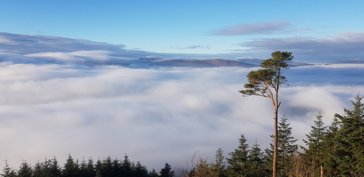 GaryLundy34's tweet photo. Carlingford lough under a blanket of fog @newslineweather @WeatherCee @angie_weather @CarlingfordIRE https://t.co/nZwuju4yF3