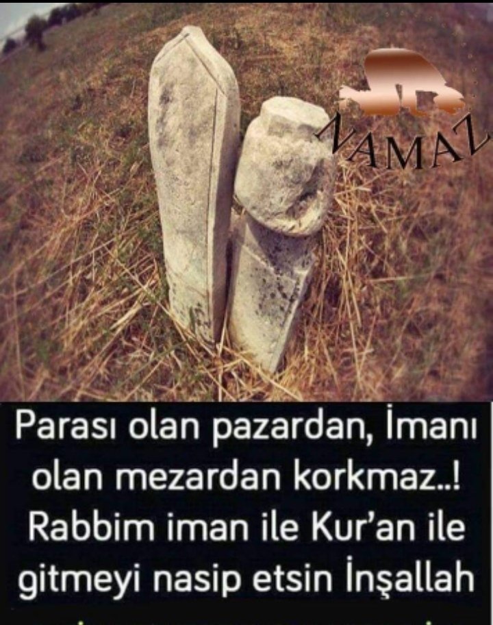 🇹🇷 Aydın Altuntaş 🟢 🇹🇷 (@reisbaba55) on Twitter photo 