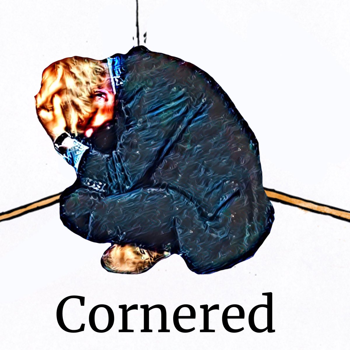 lewiscoughlan's tweet photo. Cornered;  forced into a place or situation from which it is hard to escape."nothing is more dangerous than a cornered lying corrupt politician and their government" https://t.co/xhnzDYsSGh