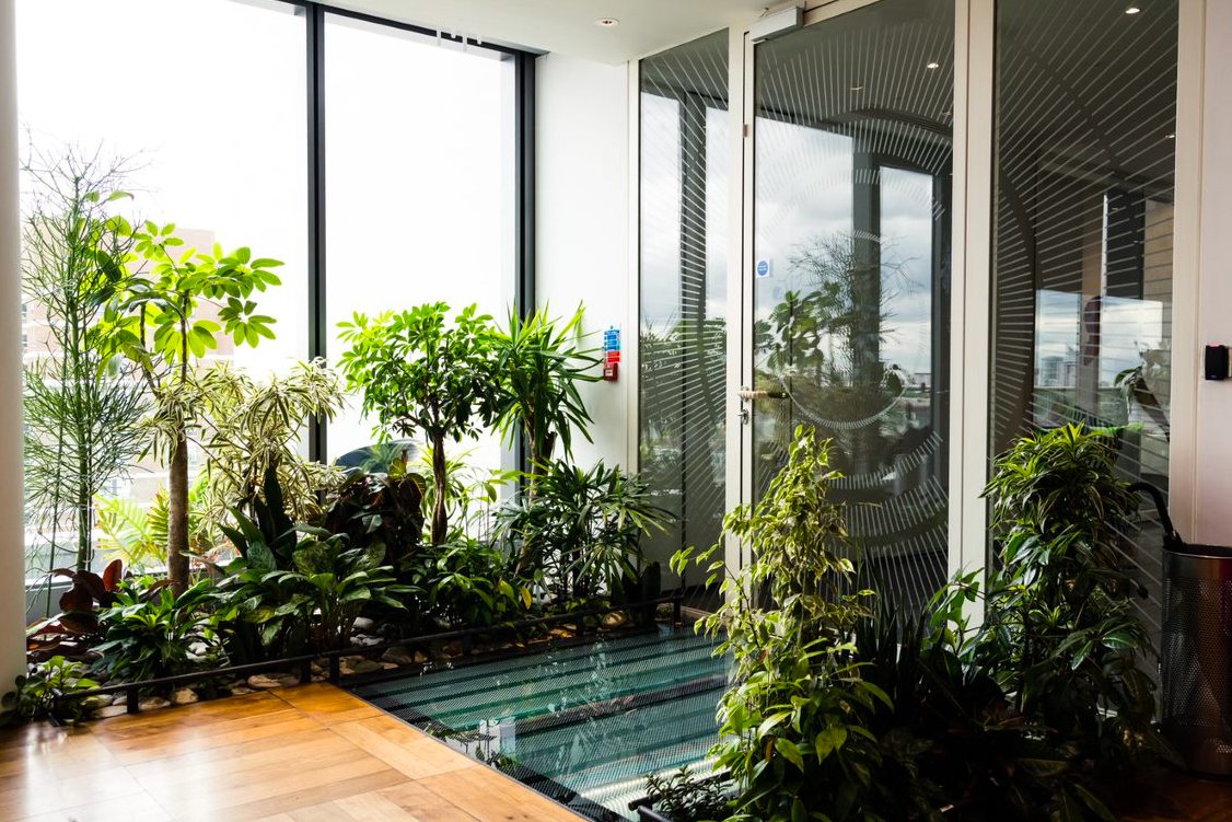 actionworkspace's tweet photo. This #tech incubator for startups was heavily influenced by #biophilia; generous amount of wooden flooring, floor to ceiling windows, rich green sofas and lush foliage dotted throughout the #office 🌱

@DigiCatapult #InteriorDesign #OfficeSpace #WorkplaceWellbeing #Workspace https://t.co/zyReQAuhOD