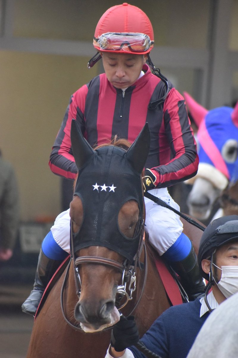 けーちゃん 菜七子 府中2000伝統の秋盾 天皇賞 秋 On Twitter 土曜日の岩田さん アルバート 岩田康誠 アルバート スポニチ賞ステイヤーズステークス 中山競馬場