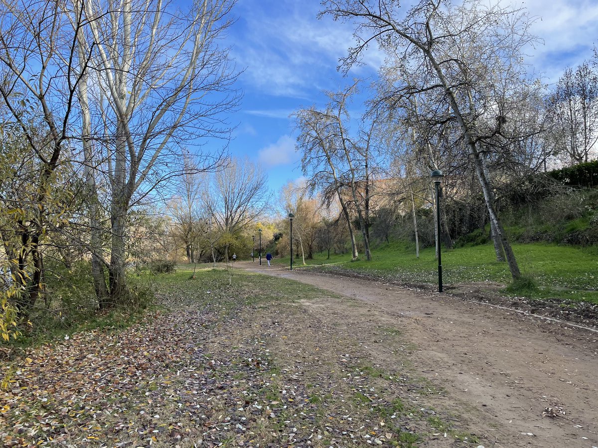 AyuntamientoVLL's tweet photo. El Ayuntamiento mejora el alumbrado en el paseo peatonal del Renacimiento, junto al río Pisuerga.

Se trata de una actuación aprobada por los vecinos en Presupuestos Participativos y que ha contado con una inversión de 25.228 euros.

Más información 🔗 https://t.co/KK3DOuygRp https://t.co/dYFN9NBLWx