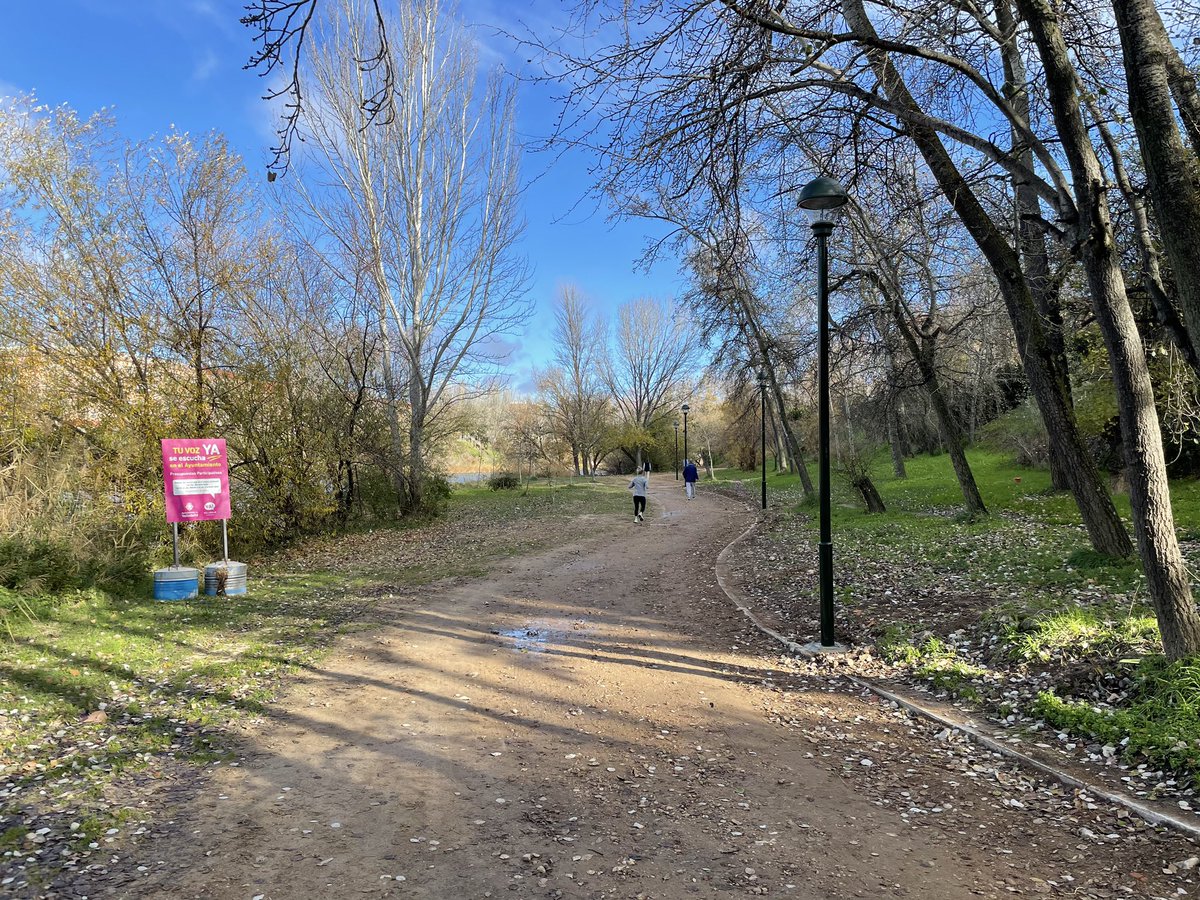 AyuntamientoVLL's tweet photo. El Ayuntamiento mejora el alumbrado en el paseo peatonal del Renacimiento, junto al río Pisuerga.

Se trata de una actuación aprobada por los vecinos en Presupuestos Participativos y que ha contado con una inversión de 25.228 euros.

Más información 🔗 https://t.co/KK3DOuygRp https://t.co/dYFN9NBLWx