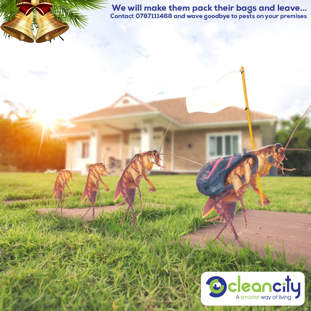 CleanCityAfrica's tweet photo. Contact 0787111468 for expert fumigation services on your property… #CleanCityAfrica https://t.co/DzpccUNW3q