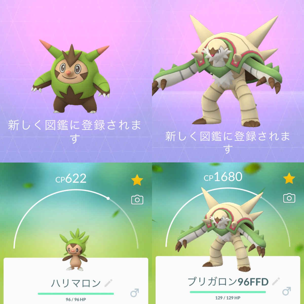 ネコミラさん カロス地方 御三家ポケモン ポケモン進化 図鑑登録 今回はコミュニティデイ待たずに進化だー カエルはまだまだ飴不足