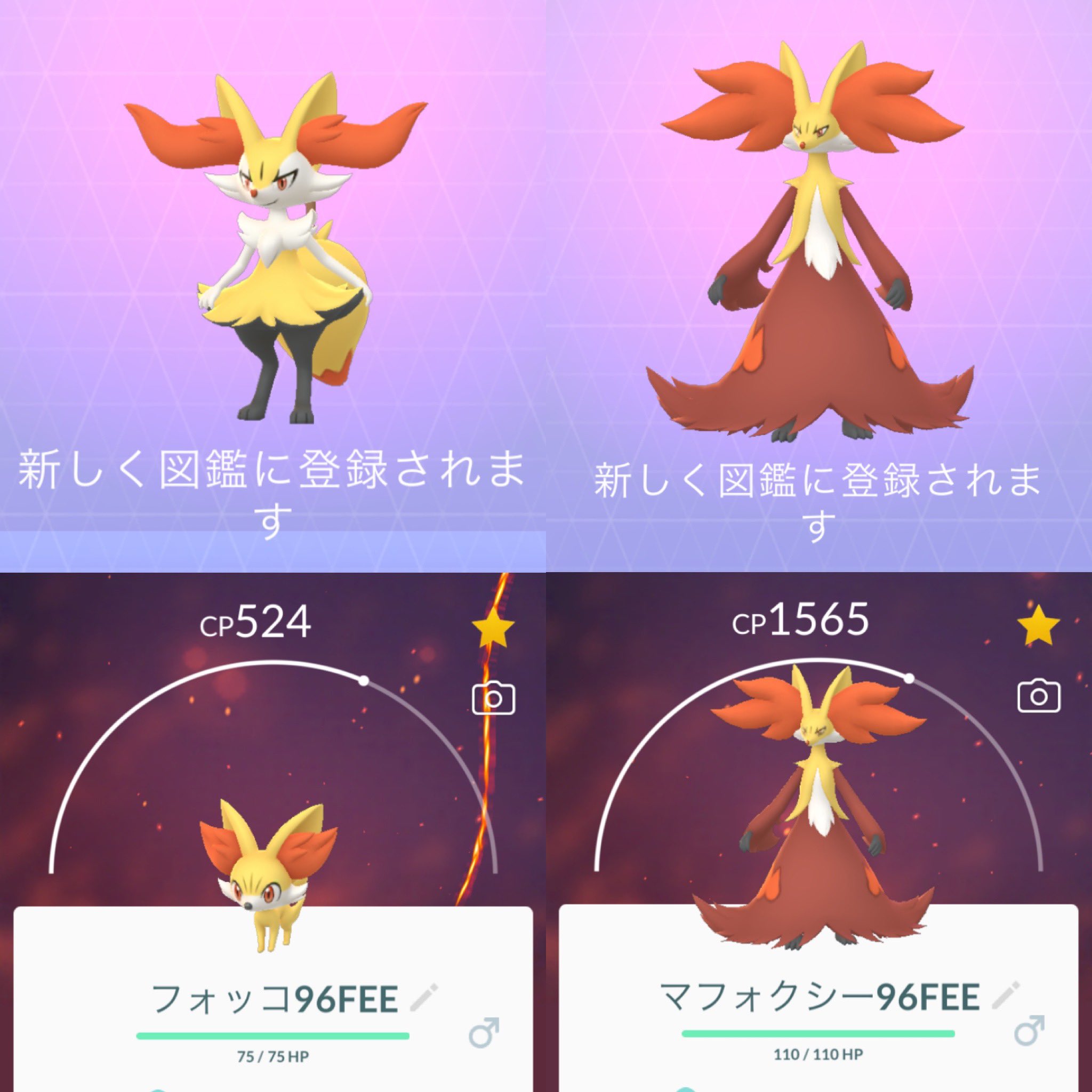 ネコミラさん カロス地方 御三家ポケモン ポケモン進化 図鑑登録 今回はコミュニティデイ待たずに進化だー カエルはまだまだ飴不足 T Co Cxnfsnssp1 Twitter