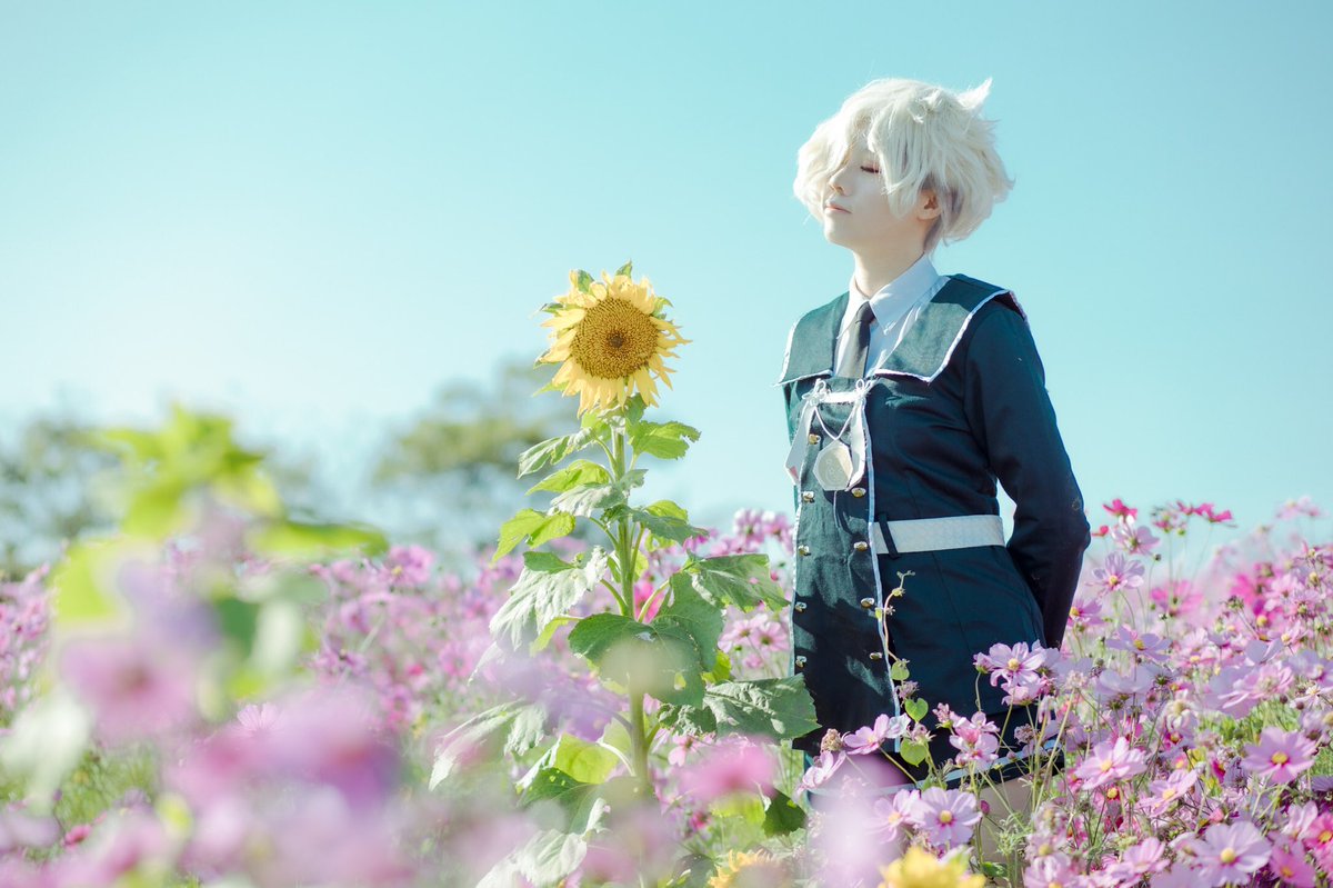 Niii822's tweet photo. cosplay
刀剣乱舞
五虎退

向日葵さんよりも背は…僕の方が高いですねっ！
えへへ、ちょっと自慢しちゃいました🐯🌻

photo、@TAKAcosphoto https://t.co/ZcIYftii24