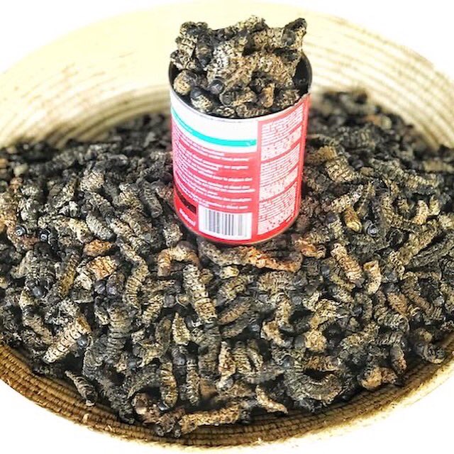 Did you know Tambula brought the informal sector online? Well now you know.

Simply visit tambula.com.na and start filling your cart with a click.

From oshikundu, mahangu, mopane worms to fresh vegetables from the informal vendors, you get it all at Tambula.

#Tambula