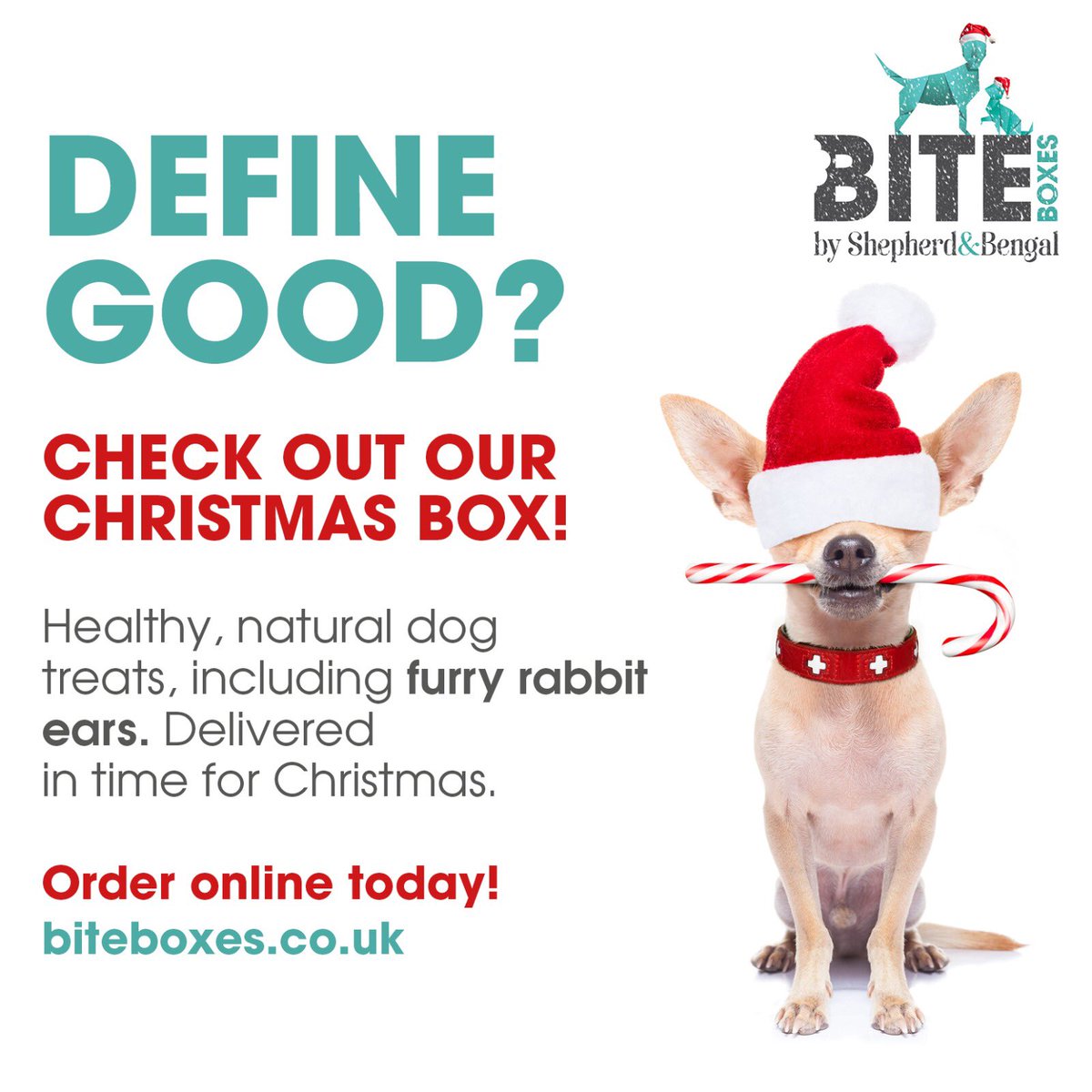 BiteBoxes's tweet photo. Hmmm... This could be hard 😉🐾💗🎄
https://t.co/XxPKIDlKQN

#rawfeedingcommunity #naturaltreats #healthydogtreats #rawfeederuk #dogtreats #naturaldogcompany #allnaturaldog #dogs #puppy #doglovers #ilovemydog #dogsuk #doglife #healthydog #dognutrition #dogsoftwitter #christmas https://t.co/A7guWaayAR