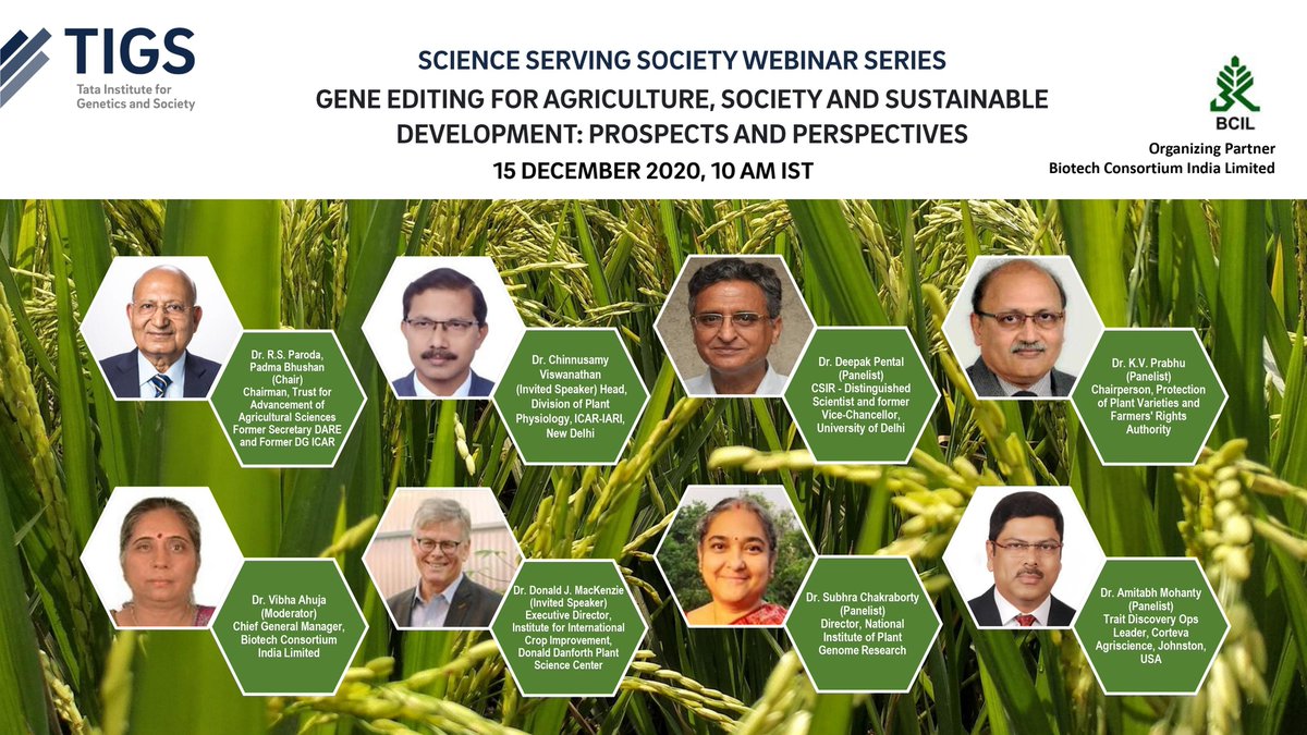 TIGS_India's tweet photo. In our next #ScienceServingSociety webinar, we’ll be talking about gene editing and the role of the technology in #agriculture and ensuring #foodsecurity. Join us on 15 Dec, 10 am. Register here: https://t.co/H9xZlqlsIx https://t.co/RaiNFuSVnO