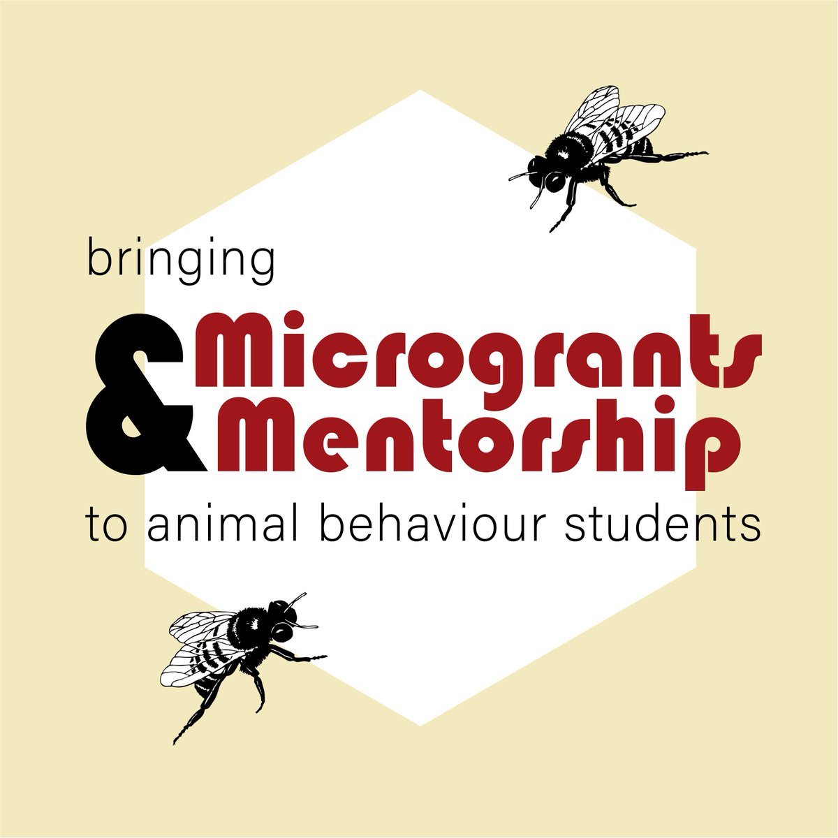 Hello!! We're the Animal Behaviour Collective - a collective of animal behaviour researchers organising microgrants (animalbehaviourcollective.org) & mentorship (forms.gle/Uzjw1gSspRYVqK…) for undergraduate & graduate students in animal behaviour. We've just launched our website today!!