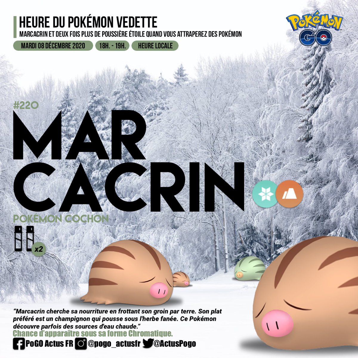 ActusPogo's tweet photo. Cette semaine, #Marcacrin, le Pokémon Cochon sera sous le feu des projecteurs. 🐽
Vous gagnerez deux fois plus de Poussière Étoile quand vous attraperez des Pokémon.
📆 Date : Mardi 08 décembre 2020 (18H. - 19H.)
#PokemonGO #Swinub #SpotlightHour #ShinyPokemon #Shiny https://t.co/oQOv7jGPmb