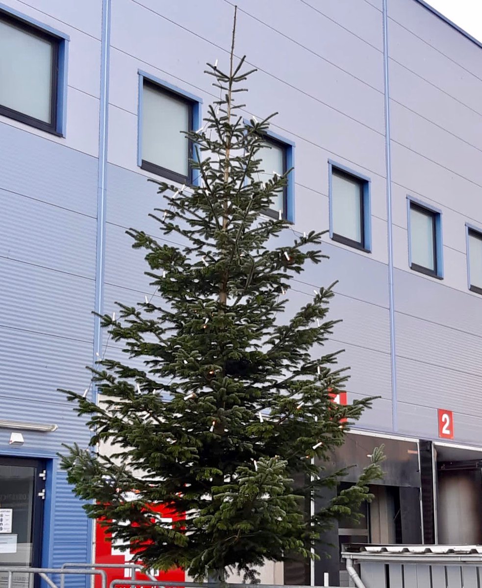 Frigosped's tweet photo. Es weihnachtet sehr an unserem Standort in Verden. 🎄 Die Weihnachtsbaum-Aktion ist eine Idee unserer Mitarbeiter und wir finden, dieser Baum kann sich sehen lassen, oder? #Frigosped #FSLogistics #Verden #Weihnachten https://t.co/mLo2ID70SE