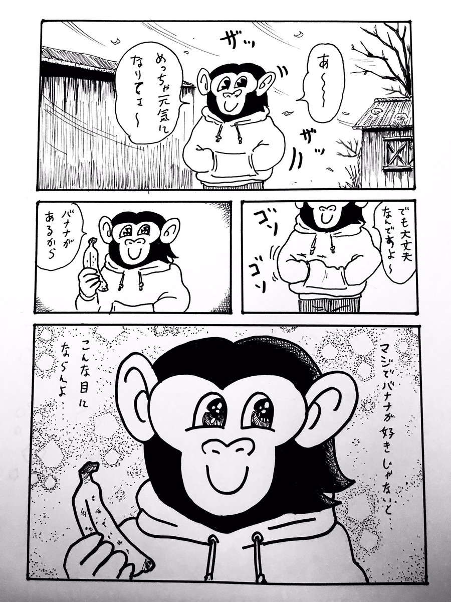 今年を総括するとこれです! 