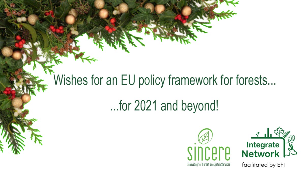 intercede_eu's tweet image. Webinar panellists' sum up with wishes for the future: evaluate how &amp;amp; what is needed to provide #ecosystemservices, less red tape, more flexibility, a strategy for all, renewable energy review, restoration targets and a just transition for forestry. #sincereforests INTEGRATE