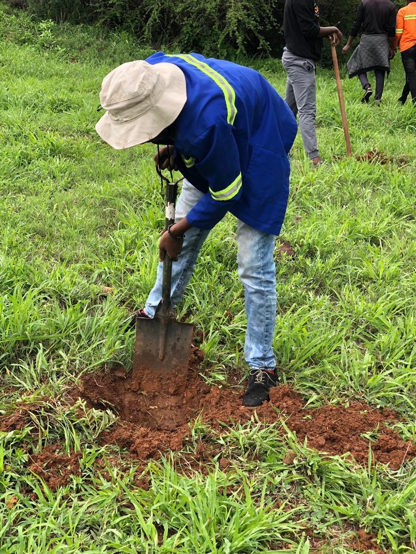 hut_green's tweet photo. On #NTPD2020 our friends from National Movement of Catholic Students got 10 #trees from us that were planted at the CMM house in Waterford in @CityofBulawayo ππ
#seedsarenotwaste #Biodiversity @zybn_cbd @AyiccZim @EMAeep @mitimasango @ZimForest @ShokoTonderai @Advocates4Earth https://t.co/RZ9zXneW6n
