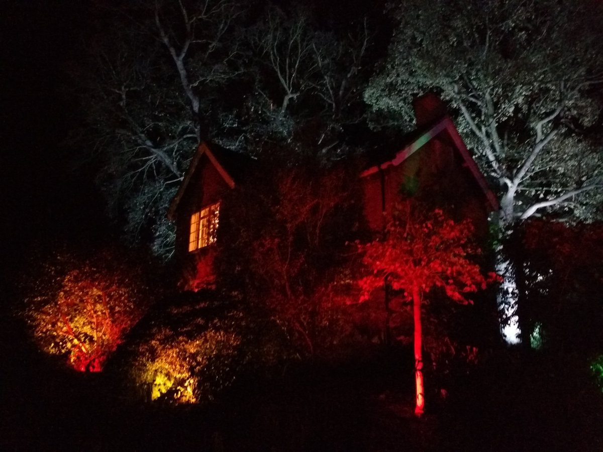 BraxM's tweet photo. A really cheering thing you can do to get you in the festive mood, especially if you have kids, is to book a visit to @RHSWisley for an illuminated walk around the grounds. Wrap up warm and surrender to the enchantment. We had live music and singing last night. #Glow2020. ❤️ https://t.co/mRN3QNXrHp