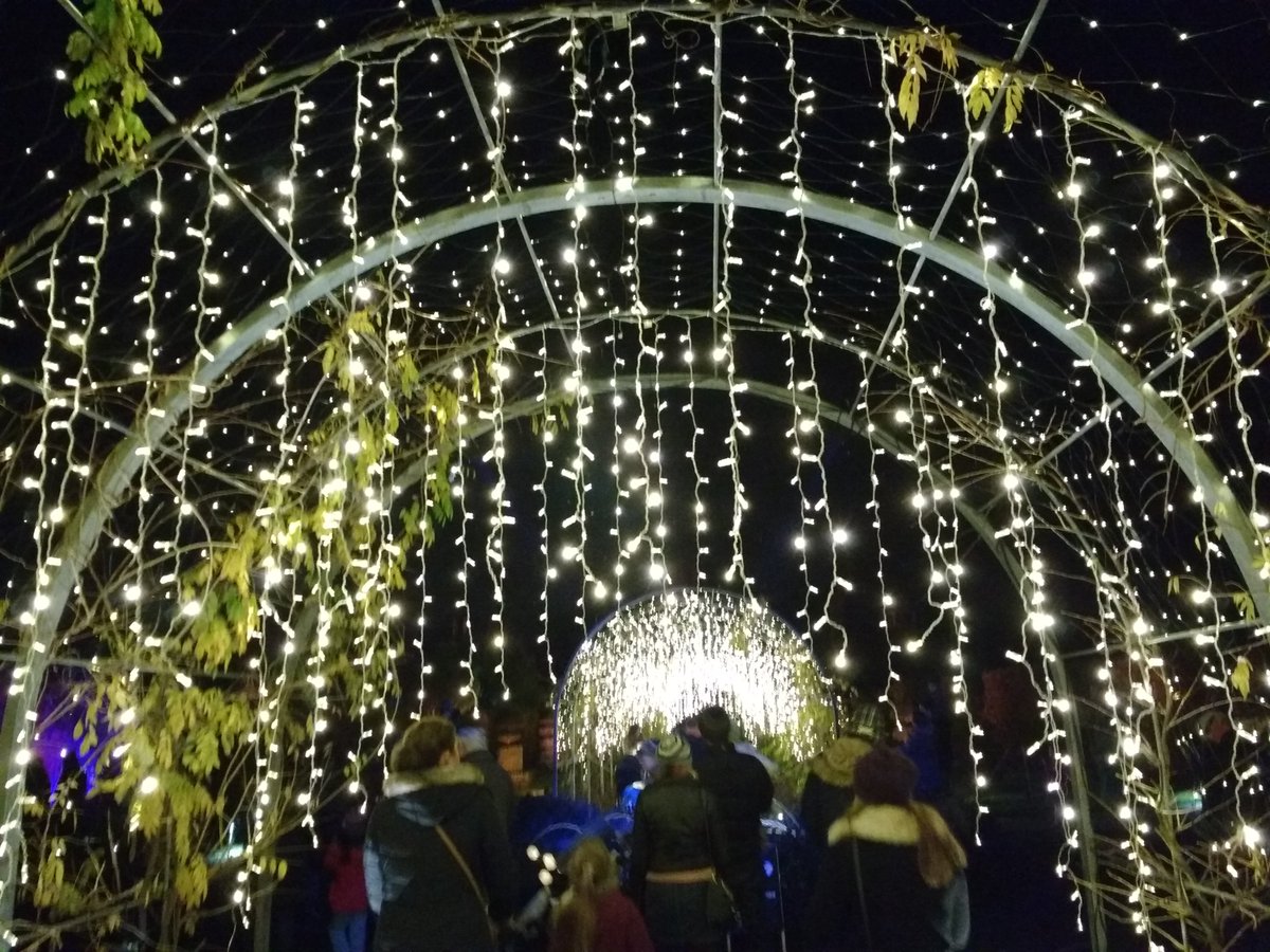 BraxM's tweet photo. A really cheering thing you can do to get you in the festive mood, especially if you have kids, is to book a visit to @RHSWisley for an illuminated walk around the grounds. Wrap up warm and surrender to the enchantment. We had live music and singing last night. #Glow2020. ❤️ https://t.co/mRN3QNXrHp