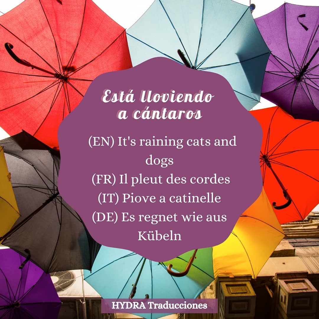 hydratrad's tweet photo. Como viene una semana un poco lluviosa☔, hoy os traemos la expresión «llover a cántaros». ⬇️Lee el post completo en nuestro blog: https://t.co/g5IzcGqNrl https://t.co/pQ9XJeE0fr
