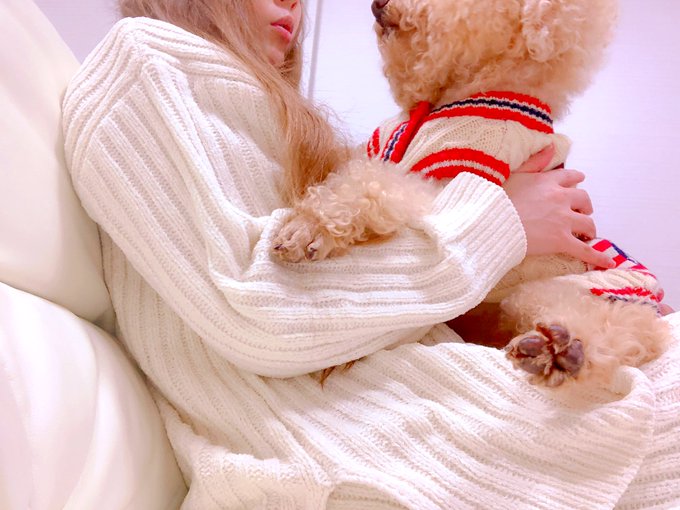 せこせこ動いて、パソコンいじって頭爆発したから一旦休憩でいちゃこく🐶♡ https://t.co/lmZ0BNLq40