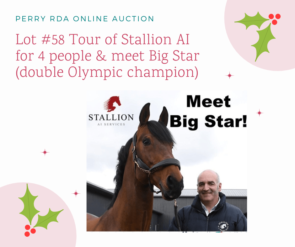 CavalierCentre's tweet photo. Not your everyday experience getting to meet legendary Olympic Showjumper Big Star. Bid now before it's too late! #charity #supportlocal https://t.co/1B1Hacd74I https://t.co/XoTQtVqbLX
