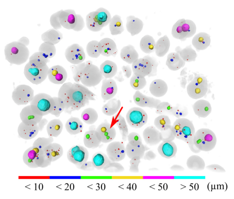 bamndt's tweet image. 3D X-ray #computed #tomography of  feedstock powders for #additivemanufacturing is very detailed (and pretty!😀), but limited to some milligram of powder. In our latest paper, we explore the limits of 2D radiography for fast and high throughput analysis. doi.org/10.3390/met101…