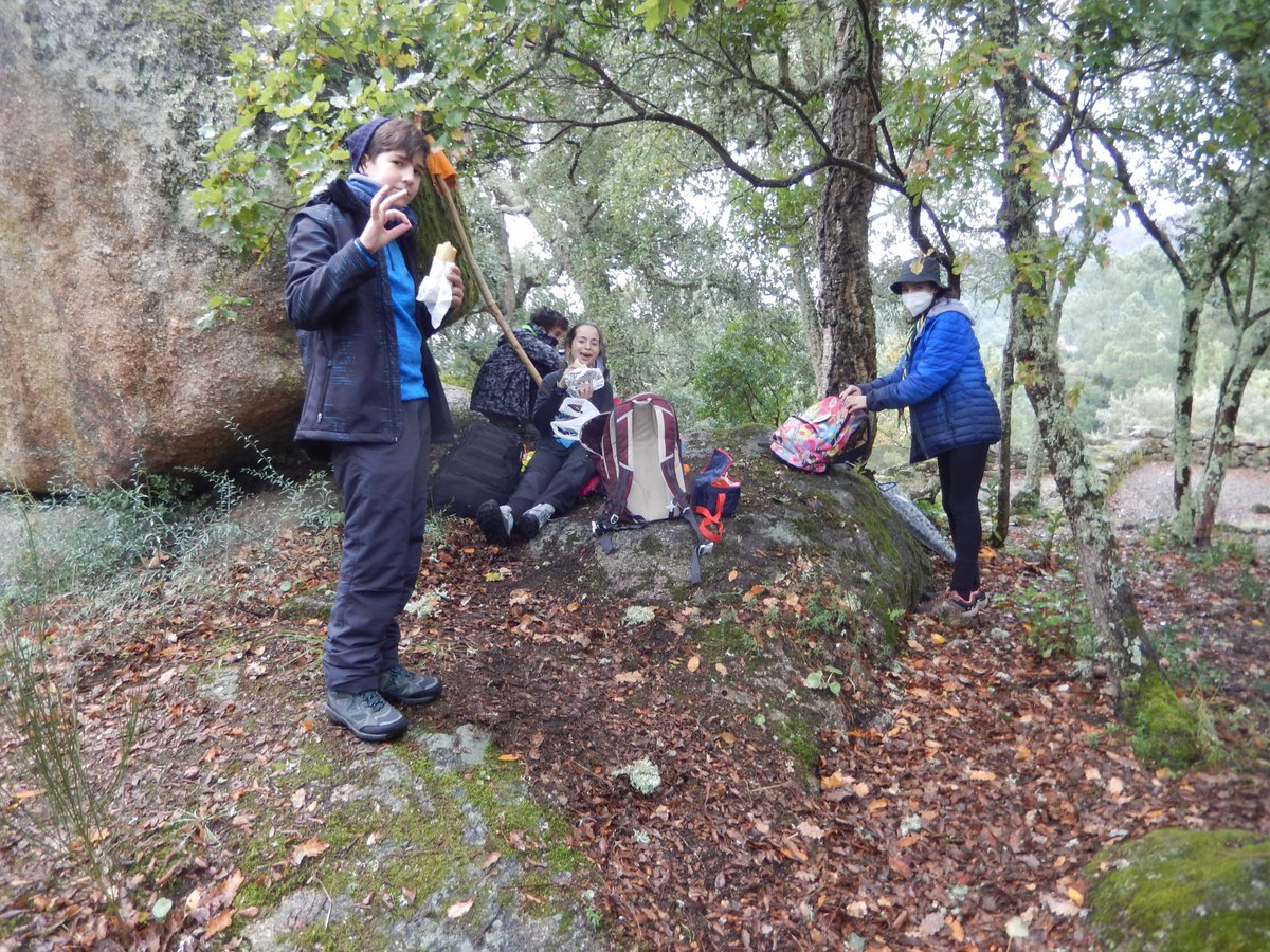 scoutilex's tweet photo. Esta finde a Sección Scout tivo a súa primeira ruta! 💜
#PlanScout
#ConstruirUnMundoMejor
@scoutsdegalicia
@scout_es https://t.co/GCZUgc9NNU
