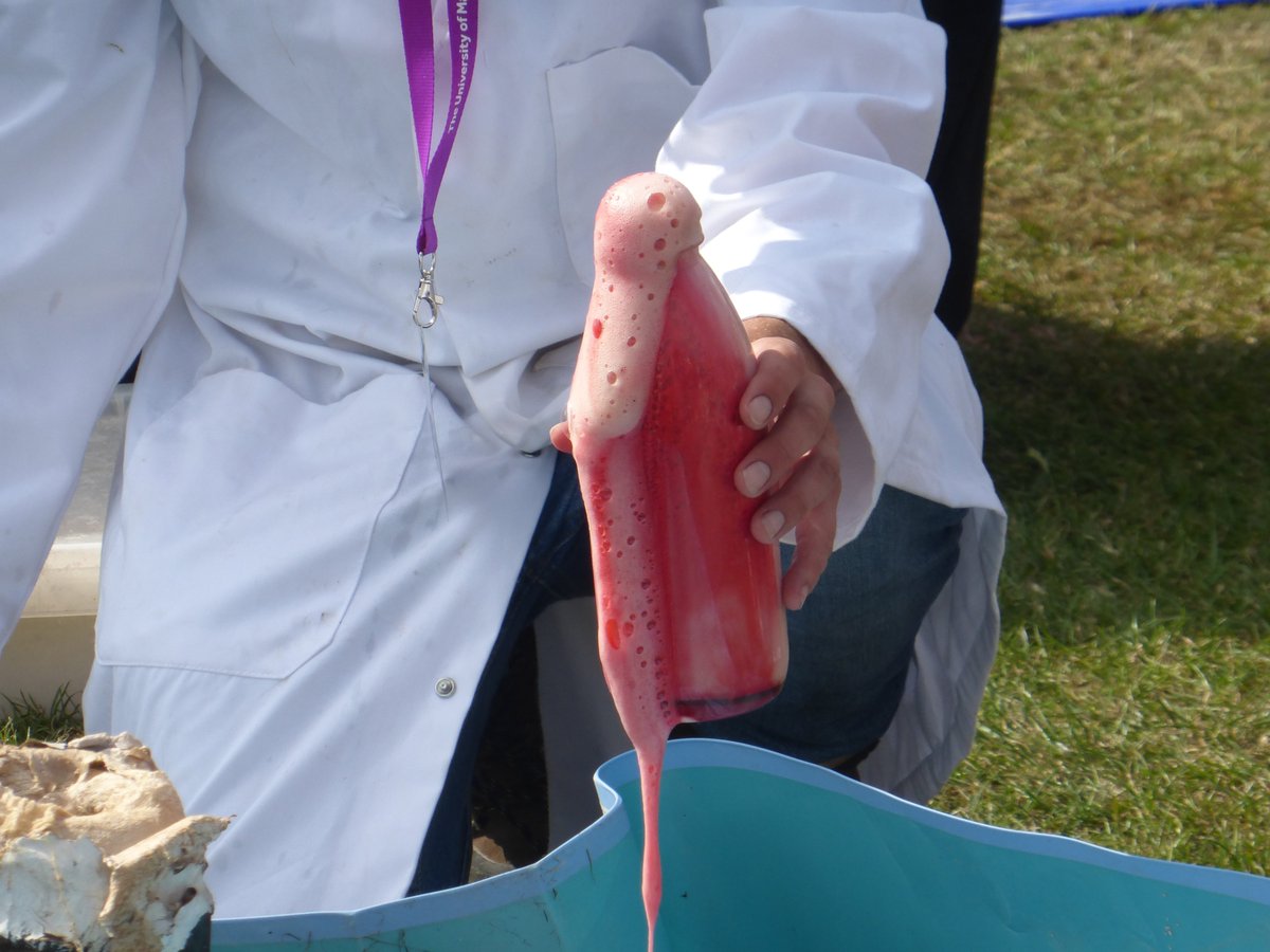 EarthSolarSystm's tweet image. Its time! 🌋
Time for another #volcano experiment you can do at home/school!
Create an effusive eruption using vinegar and bicarbonate of soda. If you want to be fancy, add a bit of red food colouring to make it look more like lava!
#scienceathome #science
earthandsolarsystem.wordpress.com/effusive-erupt…