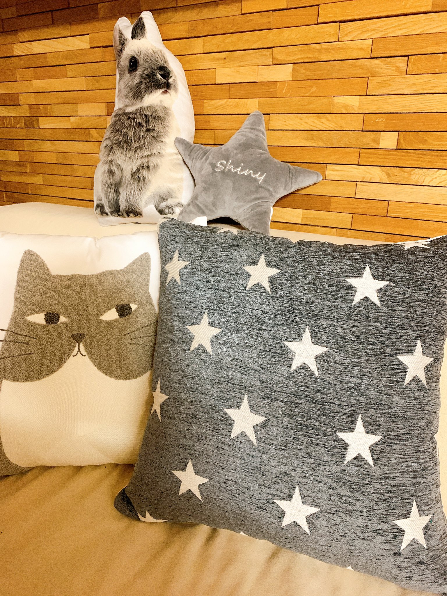 やまねあやの 自分の中で謎の星柄ブーム ニトリのふかふかばかり買ってる またクッション買うのかって顔される T Co Ix6ynjtoy7 Twitter