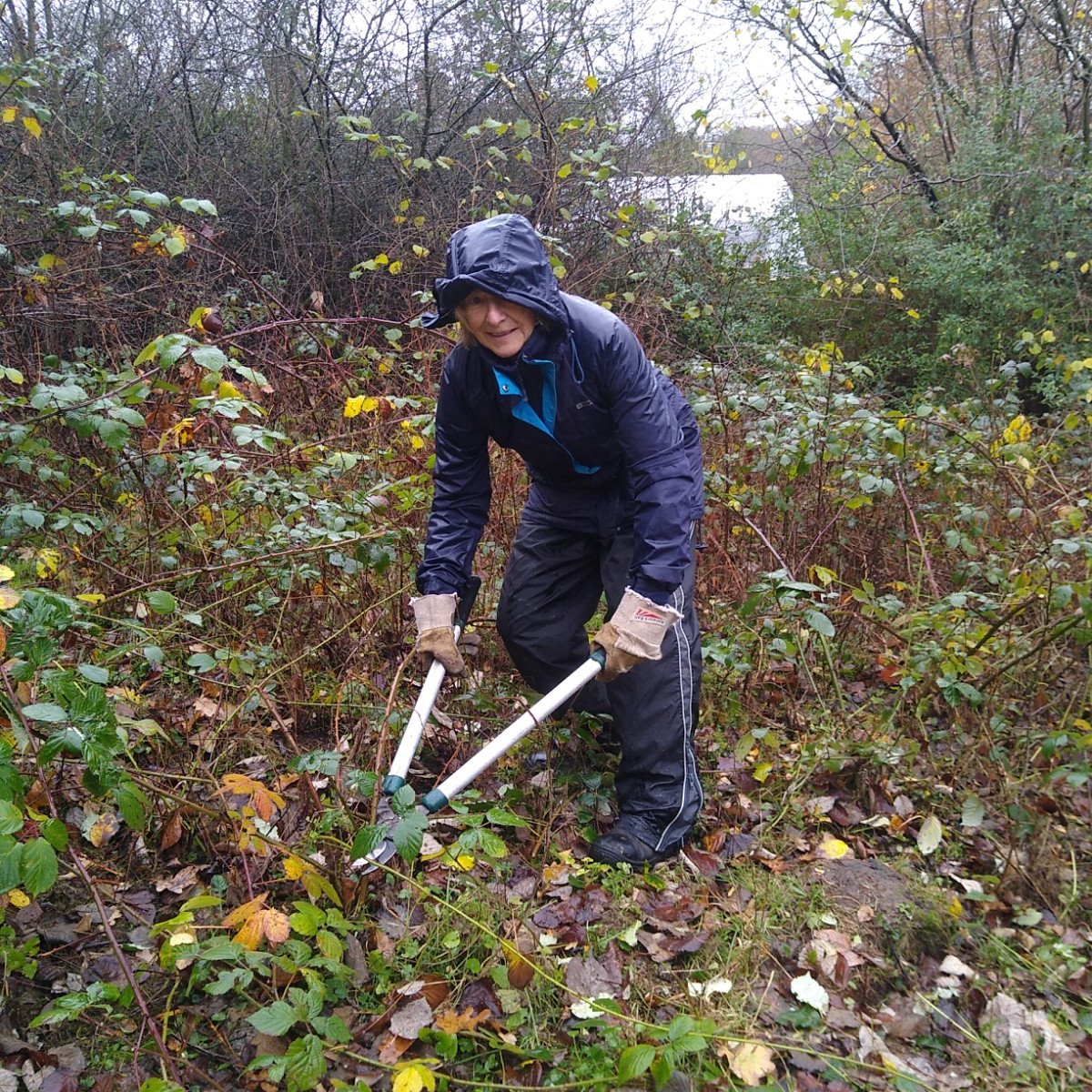 KentishStourCP's tweet photo. Incredible effort from our Canterbury volunteers last Thursday at Tyler Hill in rain and wind. 4 years of annual scrub clearing and mowing = improving plant diversity https://t.co/q1HgruM0zS